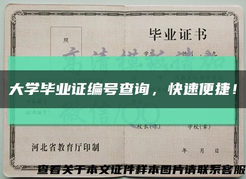 大学毕业证编号查询，快速便捷！缩略图