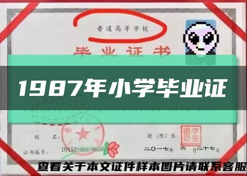 1987年小学毕业证缩略图