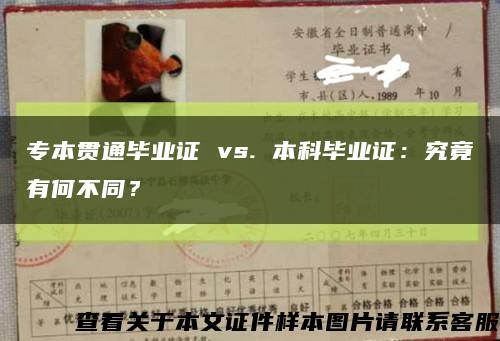 专本贯通毕业证 vs. 本科毕业证：究竟有何不同？缩略图