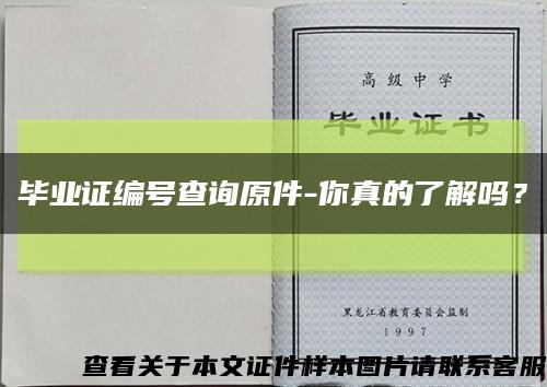 毕业证编号查询原件-你真的了解吗？缩略图