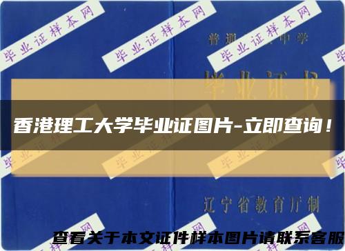 香港理工大学毕业证图片-立即查询！缩略图