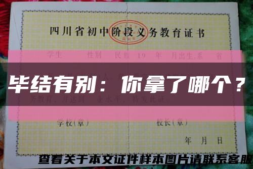 毕结有别：你拿了哪个？缩略图