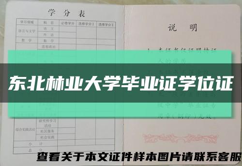 东北林业大学毕业证学位证缩略图