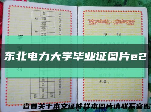 东北电力大学毕业证图片e2缩略图