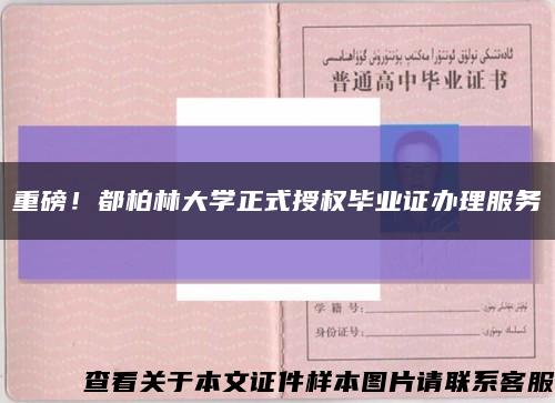 重磅！都柏林大学正式授权毕业证办理服务缩略图