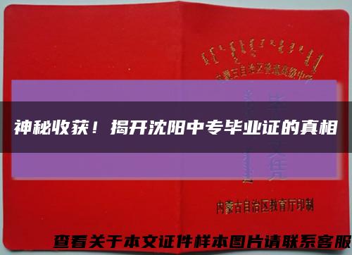 神秘收获！揭开沈阳中专毕业证的真相缩略图