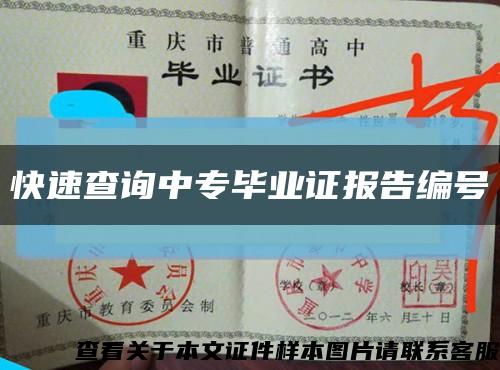 快速查询中专毕业证报告编号缩略图