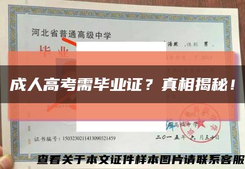 成人高考需毕业证？真相揭秘！缩略图