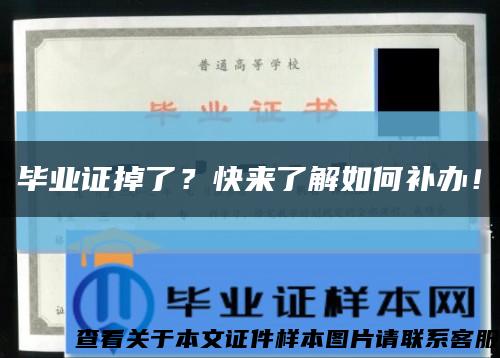 毕业证掉了？快来了解如何补办！缩略图