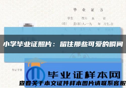 小学毕业证照片：留住那些可爱的瞬间缩略图