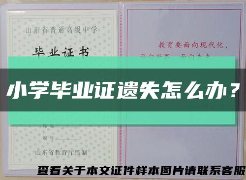 小学毕业证遗失怎么办？缩略图