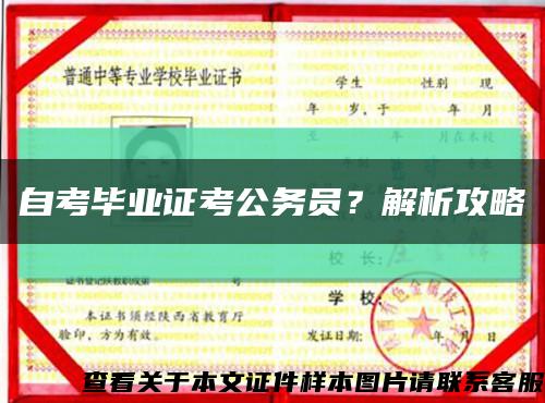 自考毕业证考公务员？解析攻略缩略图