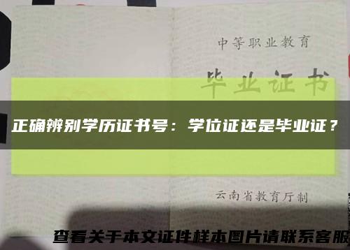 正确辨别学历证书号：学位证还是毕业证？缩略图