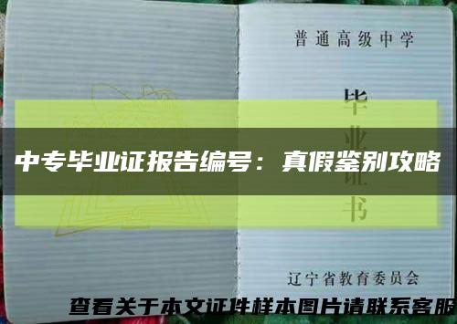 中专毕业证报告编号：真假鉴别攻略缩略图