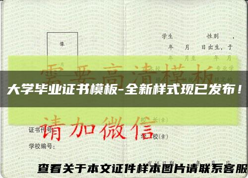 大学毕业证书模板-全新样式现已发布！缩略图