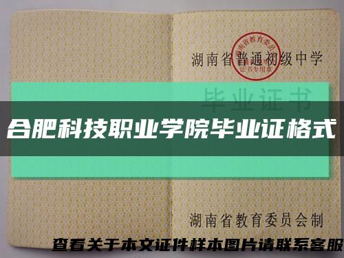 合肥科技职业学院毕业证格式缩略图