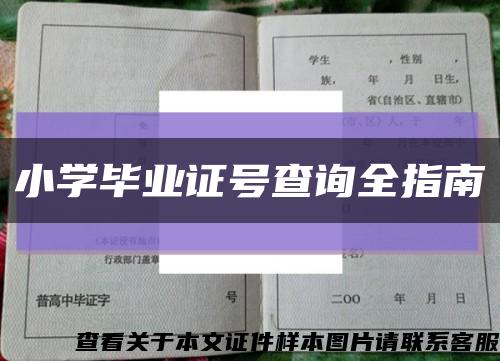 小学毕业证号查询全指南缩略图