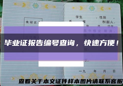 毕业证报告编号查询，快速方便！缩略图