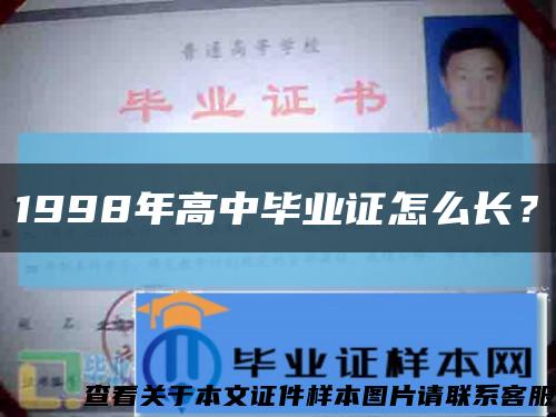 1998年高中毕业证怎么长？缩略图