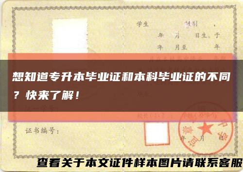 想知道专升本毕业证和本科毕业证的不同？快来了解！缩略图