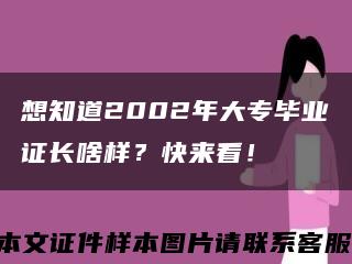 想知道2002年大专毕业证长啥样？快来看！缩略图