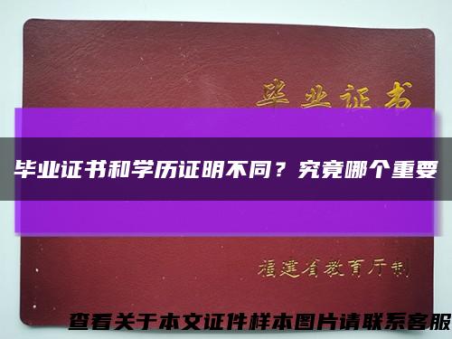 毕业证书和学历证明不同？究竟哪个重要缩略图