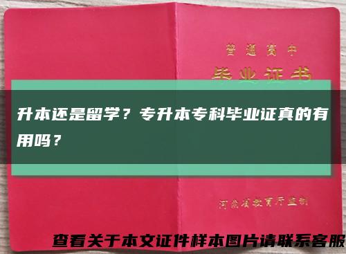 升本还是留学？专升本专科毕业证真的有用吗？缩略图