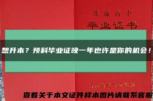 想升本？预科毕业证晚一年也许是你的机会！缩略图