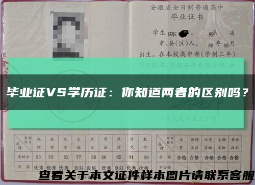 毕业证VS学历证：你知道两者的区别吗？缩略图