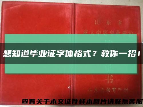 想知道毕业证字体格式？教你一招！缩略图