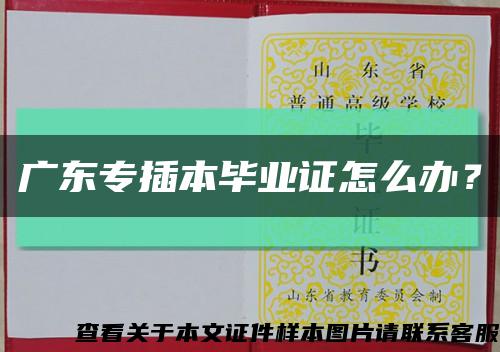 广东专插本毕业证怎么办？缩略图