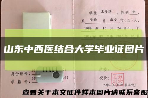 山东中西医结合大学毕业证图片缩略图