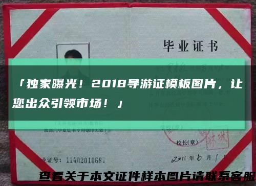 「独家曝光！2018导游证模板图片，让您出众引领市场！」缩略图