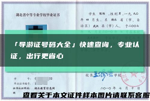 「导游证号码大全」快速查询，专业认证，出行更省心缩略图