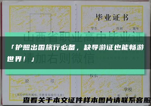 「护照出国旅行必备，缺导游证也能畅游世界！」缩略图