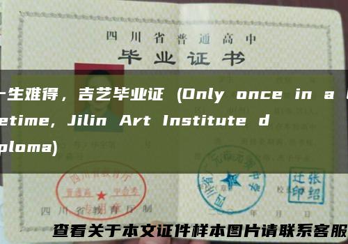 一生难得，吉艺毕业证 (Only once in a lifetime, Jilin Art Institute diploma)缩略图