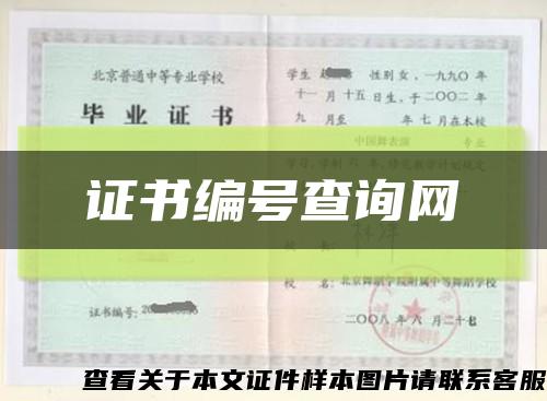 证书编号查询网缩略图