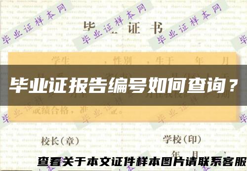 毕业证报告编号如何查询？缩略图