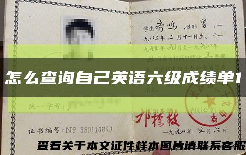 怎么查询自己英语六级成绩单1缩略图