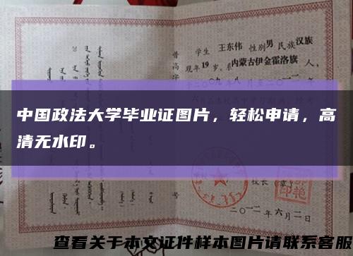 中国政法大学毕业证图片，轻松申请，高清无水印。缩略图