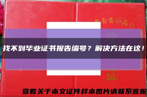 找不到毕业证书报告编号？解决方法在这！缩略图