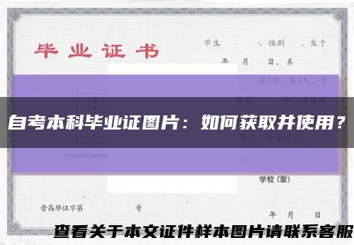 自考本科毕业证图片：如何获取并使用？缩略图