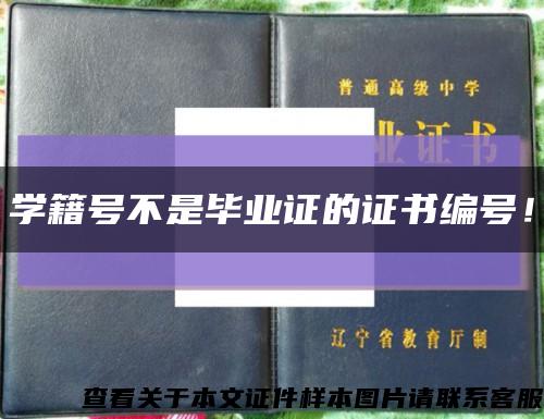 学籍号不是毕业证的证书编号！缩略图