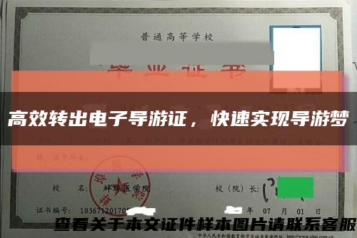 高效转出电子导游证，快速实现导游梦缩略图