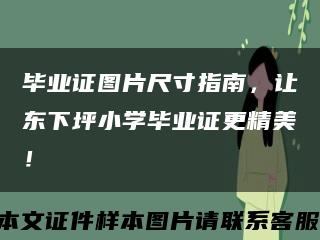 毕业证图片尺寸指南，让东下坪小学毕业证更精美！缩略图