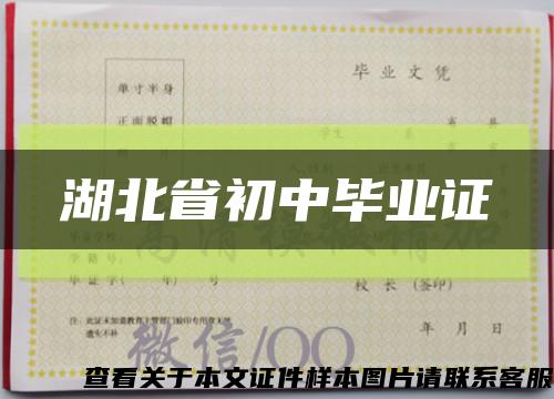 湖北省初中毕业证缩略图