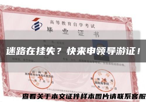 迷路在挂失？快来申领导游证！缩略图