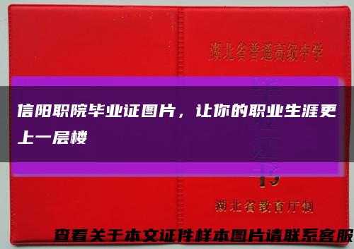 信阳职院毕业证图片，让你的职业生涯更上一层楼缩略图