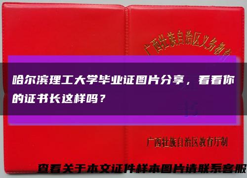 哈尔滨理工大学毕业证图片分享，看看你的证书长这样吗？缩略图