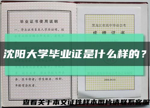 沈阳大学毕业证是什么样的？缩略图